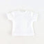 Essential T-Shirt - Assorted Colours
